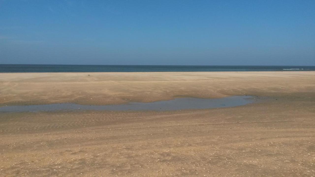 Vitamin Sea Хемскерк Екстериор снимка